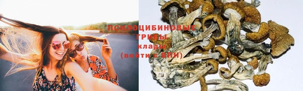 дживик Балахна