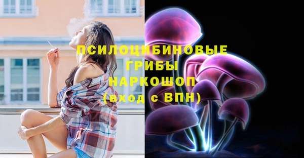 дживик Балахна