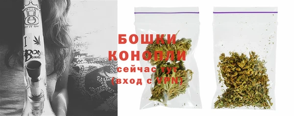 прущие грибы Белокуриха