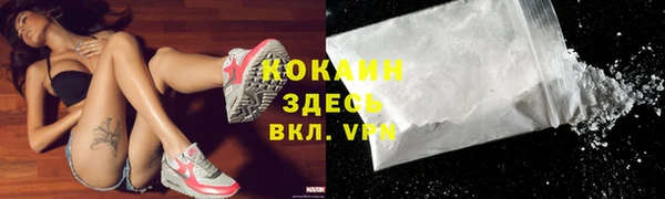 прущие грибы Белокуриха