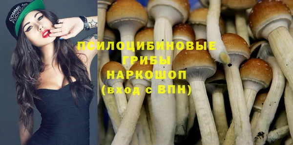 а пвп мука Беломорск